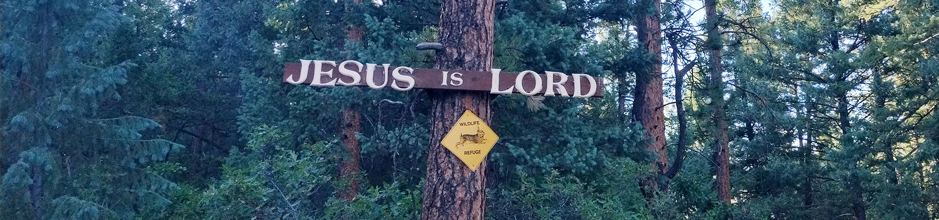 Jesus is Lord sign on tree at Jesus Our Hope Hermitages.