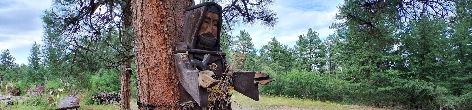 Wooden statue of St. Francis.